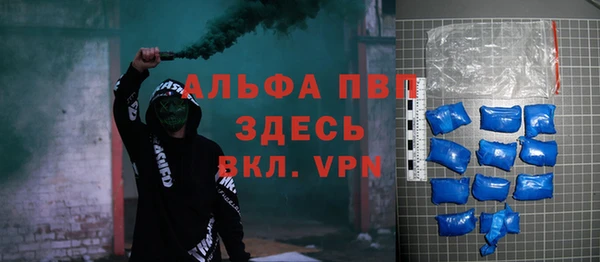 индика Абинск