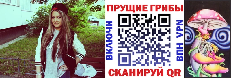купить  сайты  Щёлкино  Псилоцибиновые грибы прущие грибы 